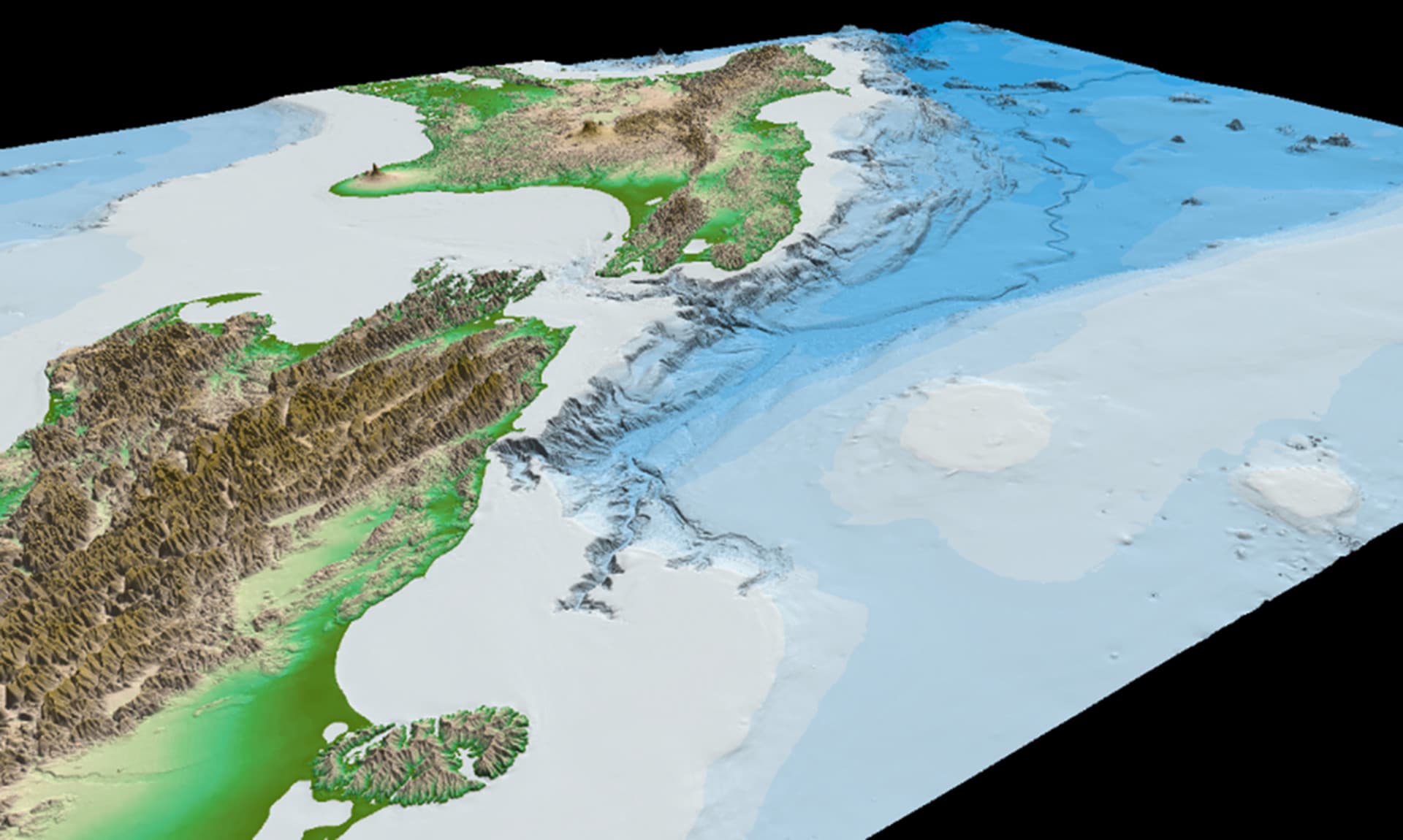 Submarine canyons: connecting coastal and deep-sea ecosystems