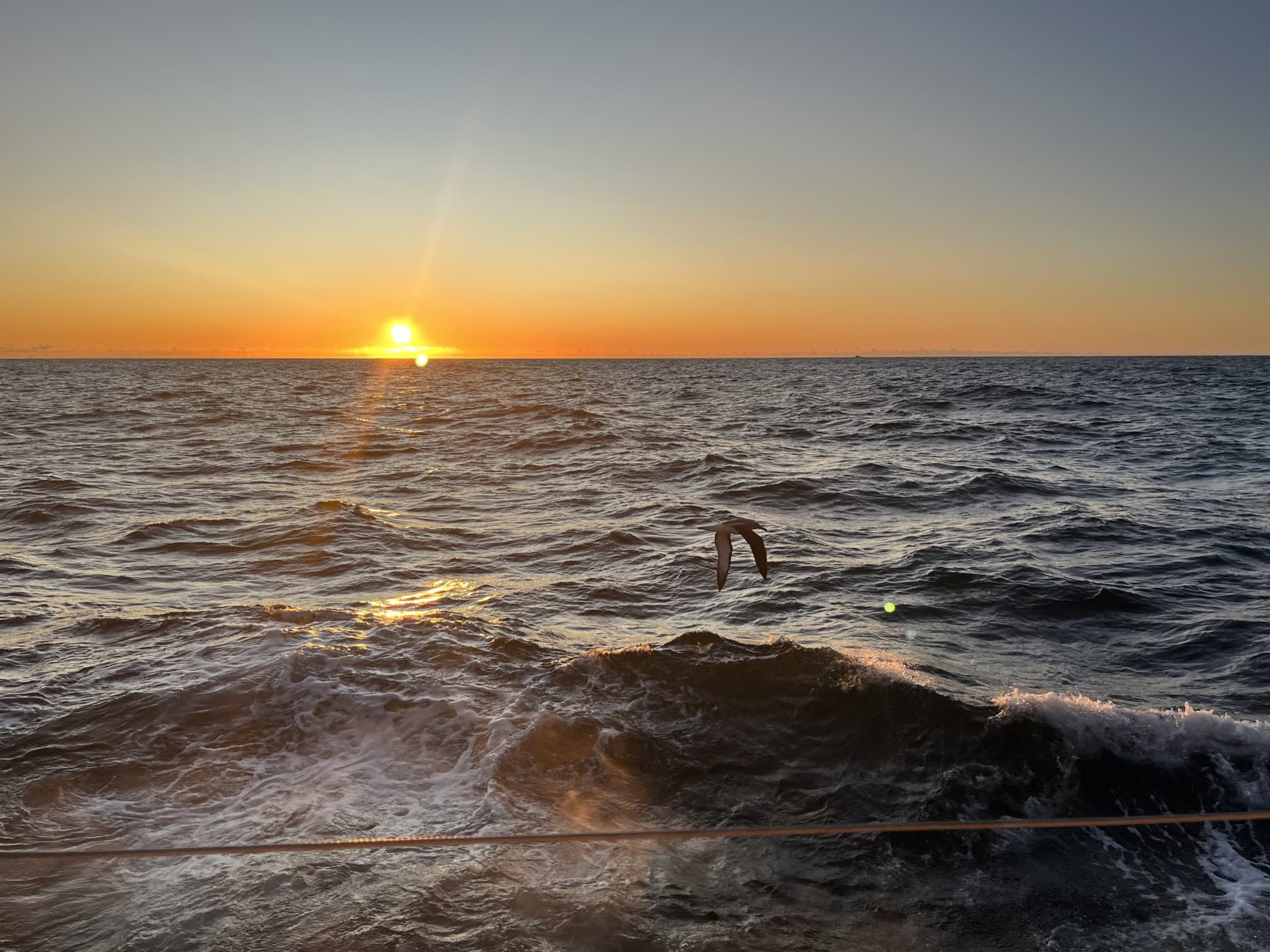Te Au o Te Moana | Conference 2023