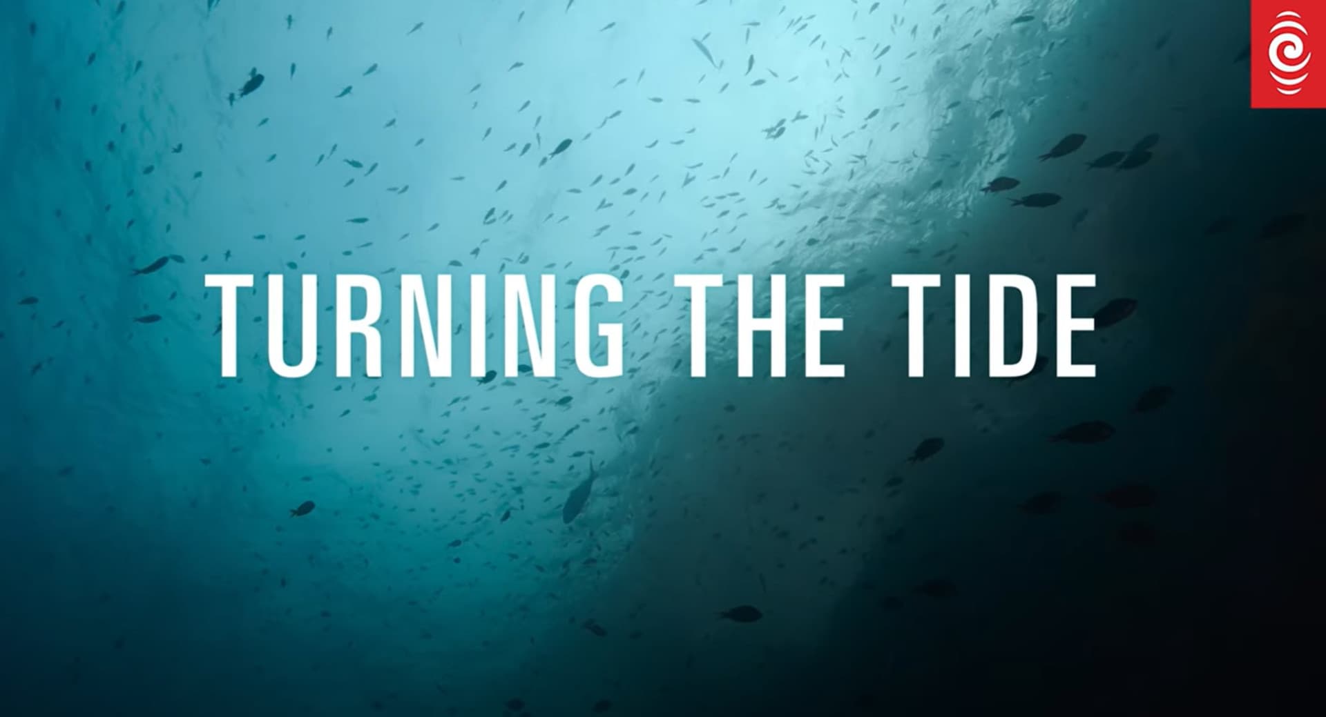 Tune in to our new, short docuseries, Turning the Tide