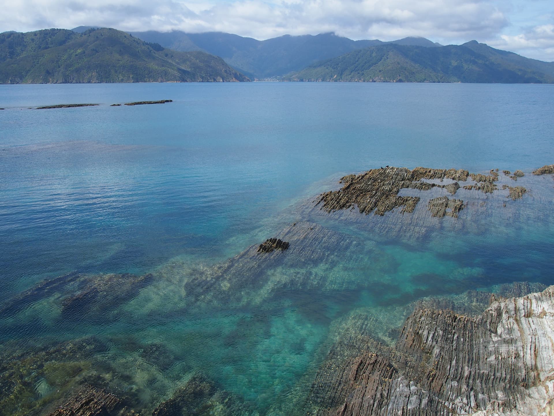 What could ecosystem based management look like in Tasman and Golden Bays