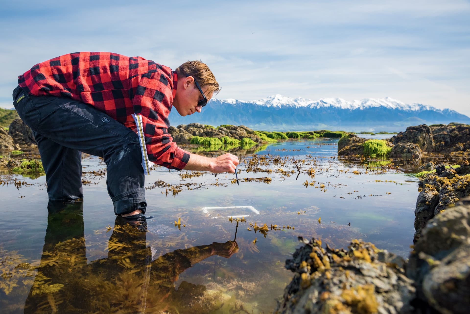 kaikoura survey DSC1848 credit dave allen NIWA