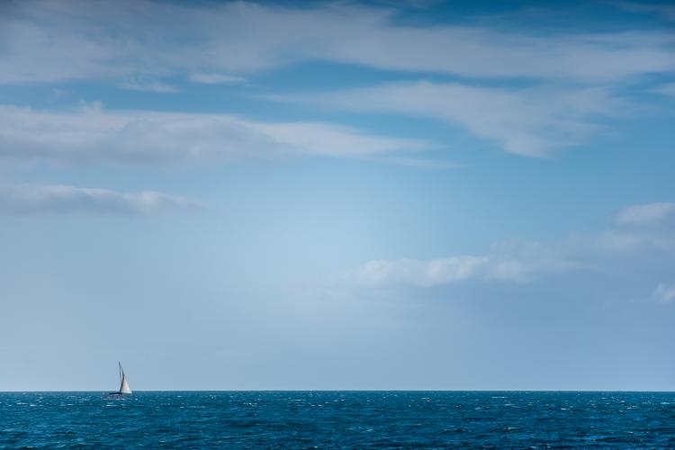 Sail away