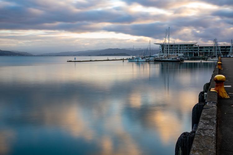 Not-so-windy Wellington