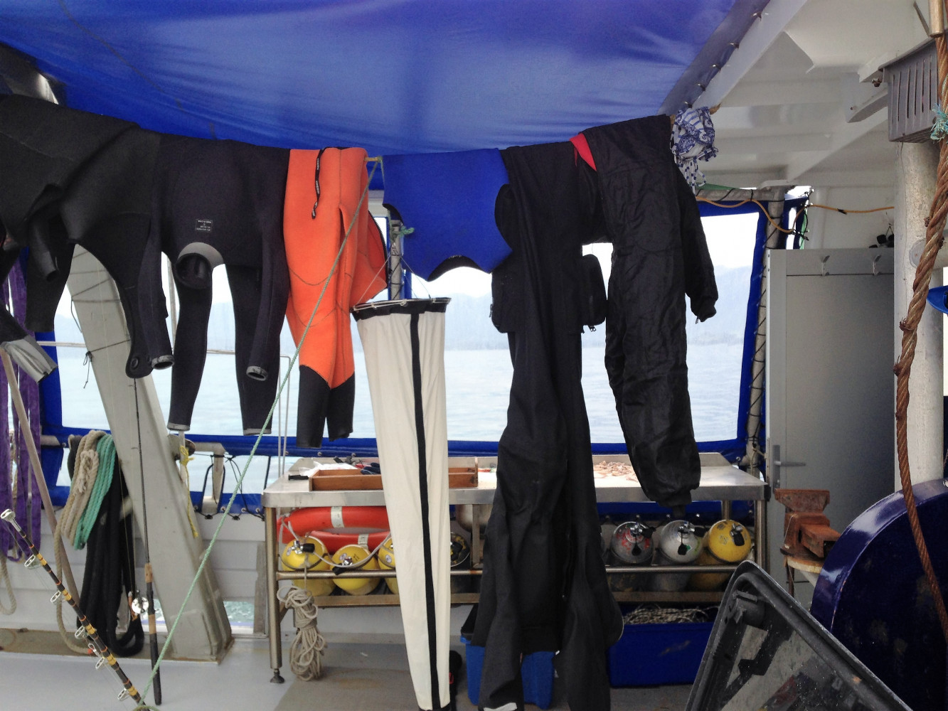 IMG 5735 day3 Dive gear and the plankton net dry off