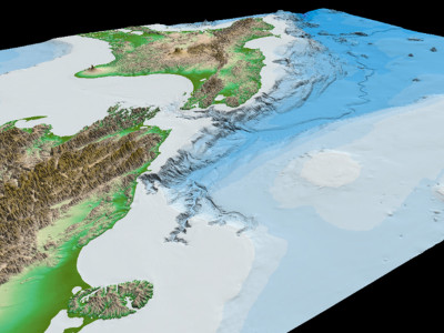 Submarine canyons: connecting coastal and deep-sea ecosystems