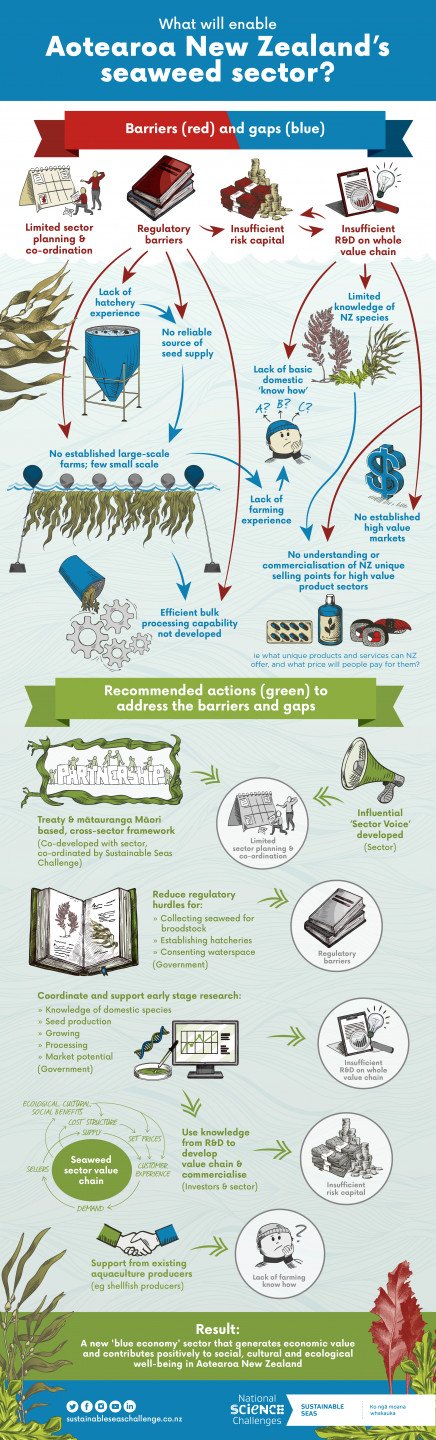 Infographic showing what actions would enable the NZ seaweed sector