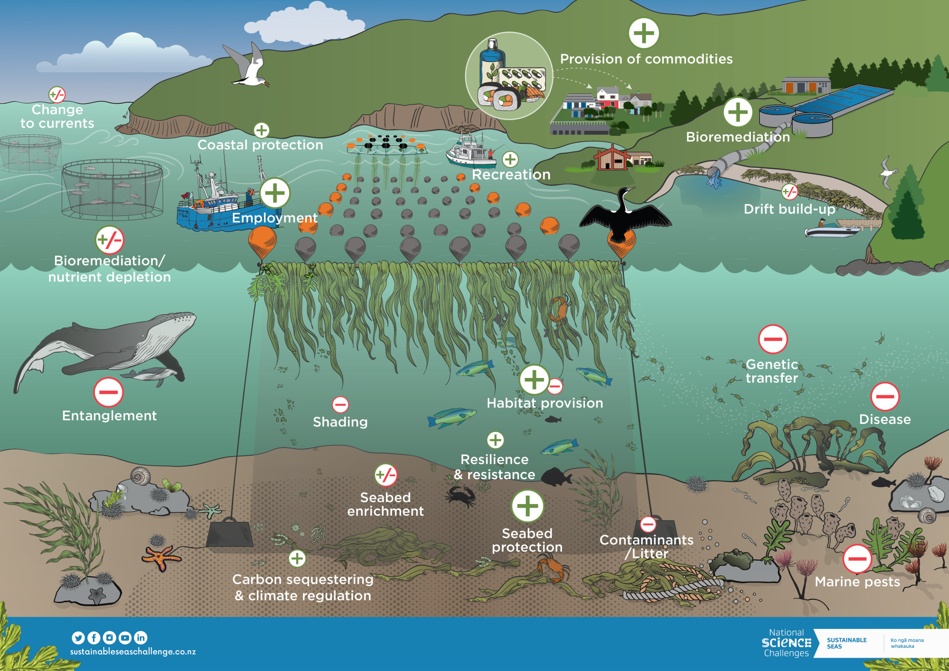 Aquaculture Ecosystem