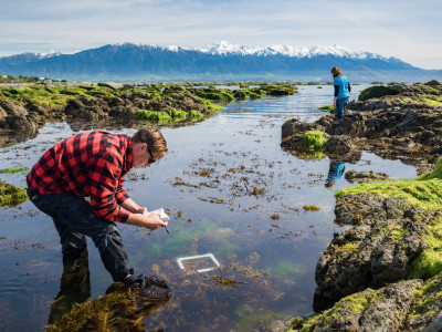 Defining rocky reef tipping points associated with the Kaikōura earthquake