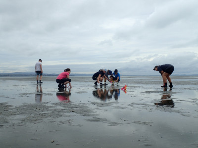 Tipping points in ecosystem structure, function and services