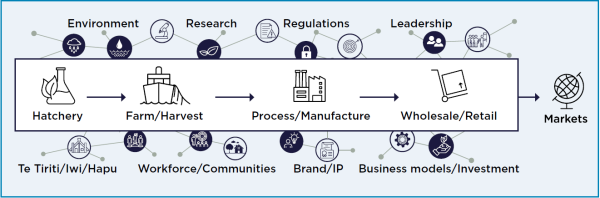 Graphic showing the building block to achieve the seaweed sector vision